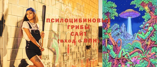 метадон Весьегонск
