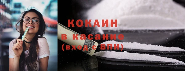 сатива Осинники