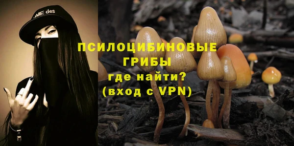 мет Няндома