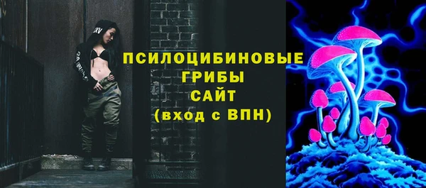 сатива Осинники