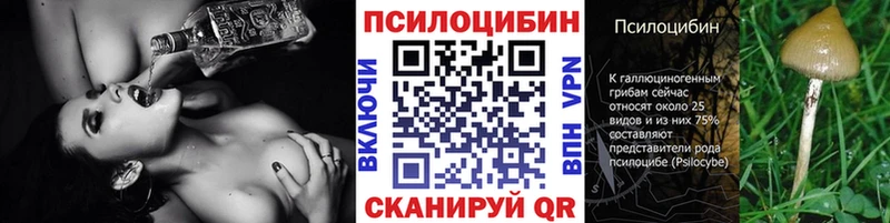 что такое   Кущёвская  Галлюциногенные грибы GOLDEN TEACHER 